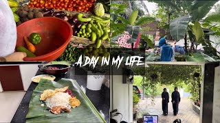 A day in my life before Wayanad landslideTastetours by Shabna Hasker [upl. by Thorwald]