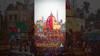 Shree Jagannaths Rath purirathyatra jagannath rathyatra trending sanatandharma shorts [upl. by Eiahpets]