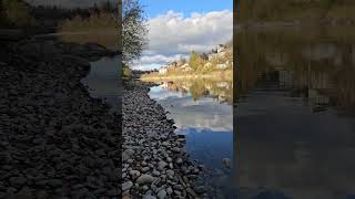 Aare river bern 🇨🇭🤩🍂🥰😍😇 nature bern bremgarten [upl. by Adnohs]