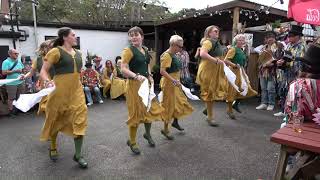 Martha Rhoden’s Tuppenny Dish dance quotStrip The Cauliflowerquot at Bromyard Folk Festival [upl. by Holman286]