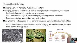 Microbiology Natural Population Growth [upl. by Amled209]