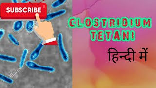 Clostridium tetanipathogenesis lab diagnosis treatment amp prophylaxis in hindi [upl. by Oralle399]