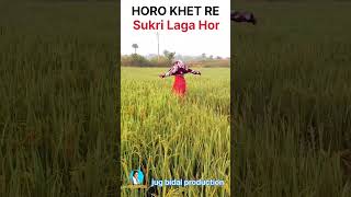 Horo Khet Re Sukri Laga Hornew santhali short videoᱦᱚᱨᱳ ᱠᱷᱮᱴ ᱨᱮ ᱥᱩᱠᱨᱤ ᱞᱟᱜᱟ ᱦᱚᱨ [upl. by Alleunamme]