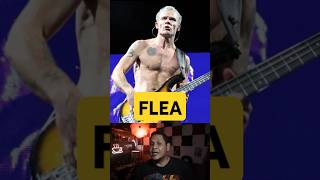 flea funk redhotchilipeppers rock musik music [upl. by Trici]