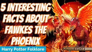 5 Interesting Facts About Fawkes The Phoenix [upl. by Zehc]