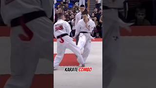 Karate kyokushin combo 🥋 karate mma martialarts [upl. by Atirys]