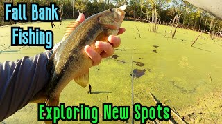 Fall Bank Fishing w Flukes amp Spinner  Exploring New Spots [upl. by Philo948]