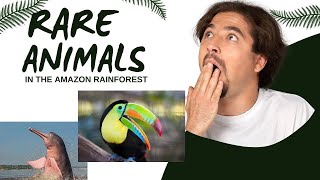 RARE ANIMALS IN THE AMAZON RAINFOREST [upl. by Nwahsiek]