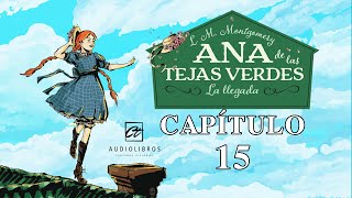 Audiolibro ANA DE LAS TEJAS VERDES  CAPITULO 15  LM MONTGOMERY  NARRADOR CARLOS TORRES FAYAD [upl. by Gresham341]