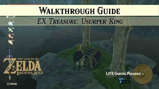 Breath of the Wild  EX Treasure Usurper King DLC 2 Side Mission [upl. by Eimia746]