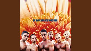 Rammstein [upl. by Korney47]