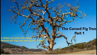 The Cursed Fig Tree Part 1 [upl. by Aicertap]