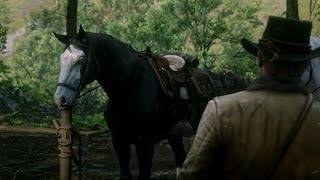 This Is Why Micah’s Horse Baylock Looks So FAMILIAR  Red Dead Redemption 2 [upl. by Royall]