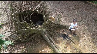 Camping in the forest despite the hot sun  Bushcraft wilderness survival shelter [upl. by Huber]