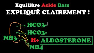 🔴 EQUILIBRE ACIDEBASE EXPLIQUÉ TRÈS CLAIREMENT   DR ASTUCE [upl. by Sweet]