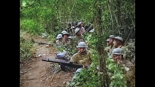 WWI Footage  Colorized amp HD Restoration  MeuseArgonne Offensive 1918 [upl. by Ettigdirb643]