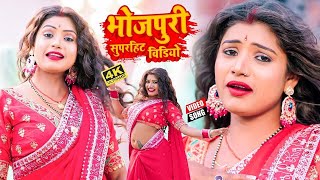 Video  Pawan Singh  राजाजी के दिलवा  Shivani Singh  Rajaji Ke Dilwa  New Bhojpuri Song 2024 [upl. by Tita]