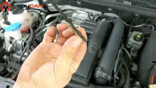 How to Check the Engine Oil Level on a Volkswagen 20102022 StepbyStep Guide [upl. by Eeneg27]