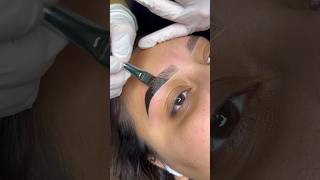 Brow Tinting Tutorial 💓 browtint browsefeatures [upl. by Nekial771]