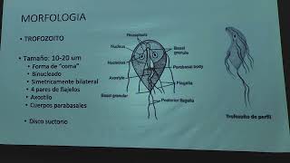 Giardiasis Amebiasis  Dr Carr [upl. by Ardnaiek]