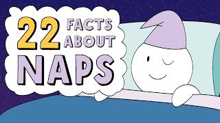 22 Facts About Naps [upl. by Asehr196]