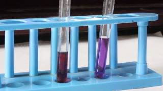 To Study the Properties of Acids and Bases  MeitY OLabs [upl. by Cole]