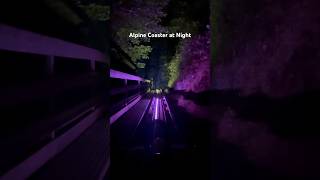 Riding the Smoky Mountain Alpine Coaster at Night [upl. by Lebaron]