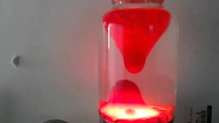 REAL Gallon Jar Lava Lamp DIY Make One Today [upl. by Maurine]