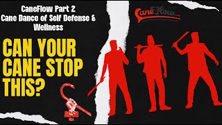 Cane Self Defense CaneFlow Part 2 Can Your Cane Stop THIS [upl. by Ardnusal]