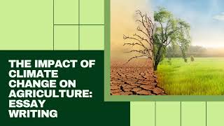 The Impact Of Climate Change On Agriculture Essay Writing [upl. by Rhodes832]