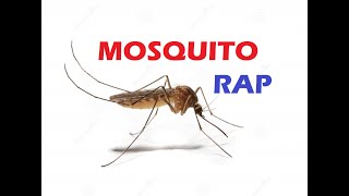 Mosquito Rap and my reaction [upl. by Oregolac663]