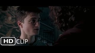 Harry and Sirius Share a Moment  Harry Potter and the Order of the Phoenix [upl. by Daria]