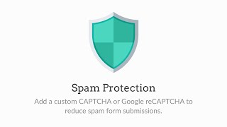 Spam Protection by WPForms 2024 Version [upl. by Hannahs]