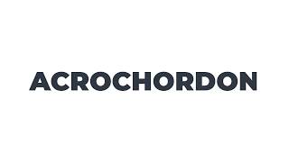 📢 How to pronounce ACROCHORDON [upl. by Lasorella]