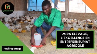 Burkina Faso  MIRA ÉLEVAGE l’excellence en entrepreneuriat agricole [upl. by Gnidleif]