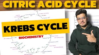 Krebs Cycle Biochemistry  Citric Acid Cycle  TCA Cycle [upl. by Marja393]