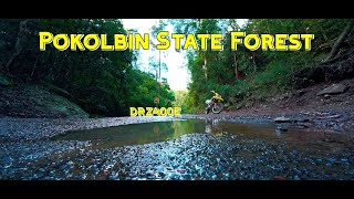 DRZ400E Pokolbin State Forest to Cedar Creek Ride [upl. by Wickner]