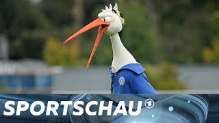 2 Bundesliga Die 5 größten Überraschungen der Hinrunde  Sportschau [upl. by Panayiotis]