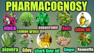 INTRODUCTION TO PHARMACOGNOSY IN HINDI pharmacognosy lectures in hindi Diploma Pharmacy first year [upl. by Rina160]