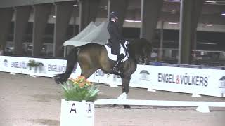 Steffen Peters Warming Up for the FEI 5 Freestyle [upl. by Okiam432]