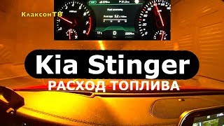 Kia Stinger GT 33 AWD расход топлива  КлаксонТВ [upl. by Oiramad]