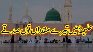 Haleema Main Tere Muqadran Tu Sadqe [upl. by Kendal]