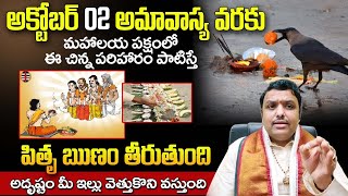 మహాలయ పక్షంలో ఈ పరిహారం చేస్తే అదృష్టం Mahalaya amavasya 2024 date  Mahalaya paksha 2024 telugu [upl. by Mandie557]