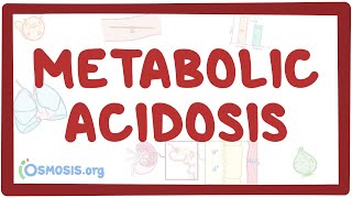 Metabolic acidosis  causes symptoms diagnosis treatment pathology [upl. by Zabrine]