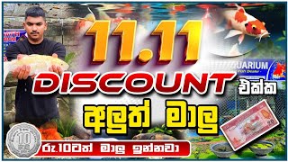 1111 මාලු Discount  Chamath Aquarium [upl. by Murvyn]