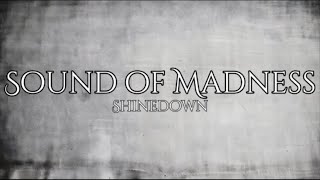 Shinedown  Sound of Madness Lyric Video [upl. by Latin]