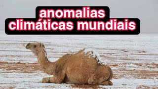 camelos caminham em meio ao deserto coberto de neveas anomalias CLIMÁTICAS⚠️worldclimatchange [upl. by Pattison488]