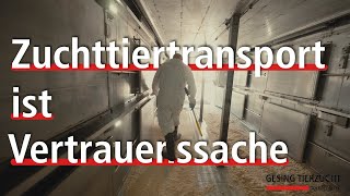 Zuchttiertransport ist Vertrauenssache Bergerbusch Transporte GmbH [upl. by Notgnilliw]