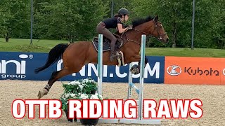 SCHOOLING MY OTTB MARE  RIDING RAWS [upl. by Meingoldas]