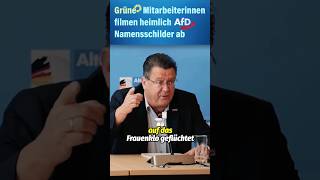 🚨grüne spionieren afd aus🕵🏻 short [upl. by Leff328]